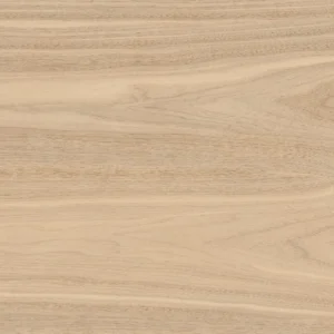 Piso Ceramico Arbor 60x60 Retificado Karina