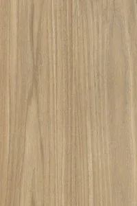 Porcelanato New Pinus 20x120 Acetinado | Unique