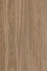 Porcelanato New Palmeira 20x120 Acetinado | Unique