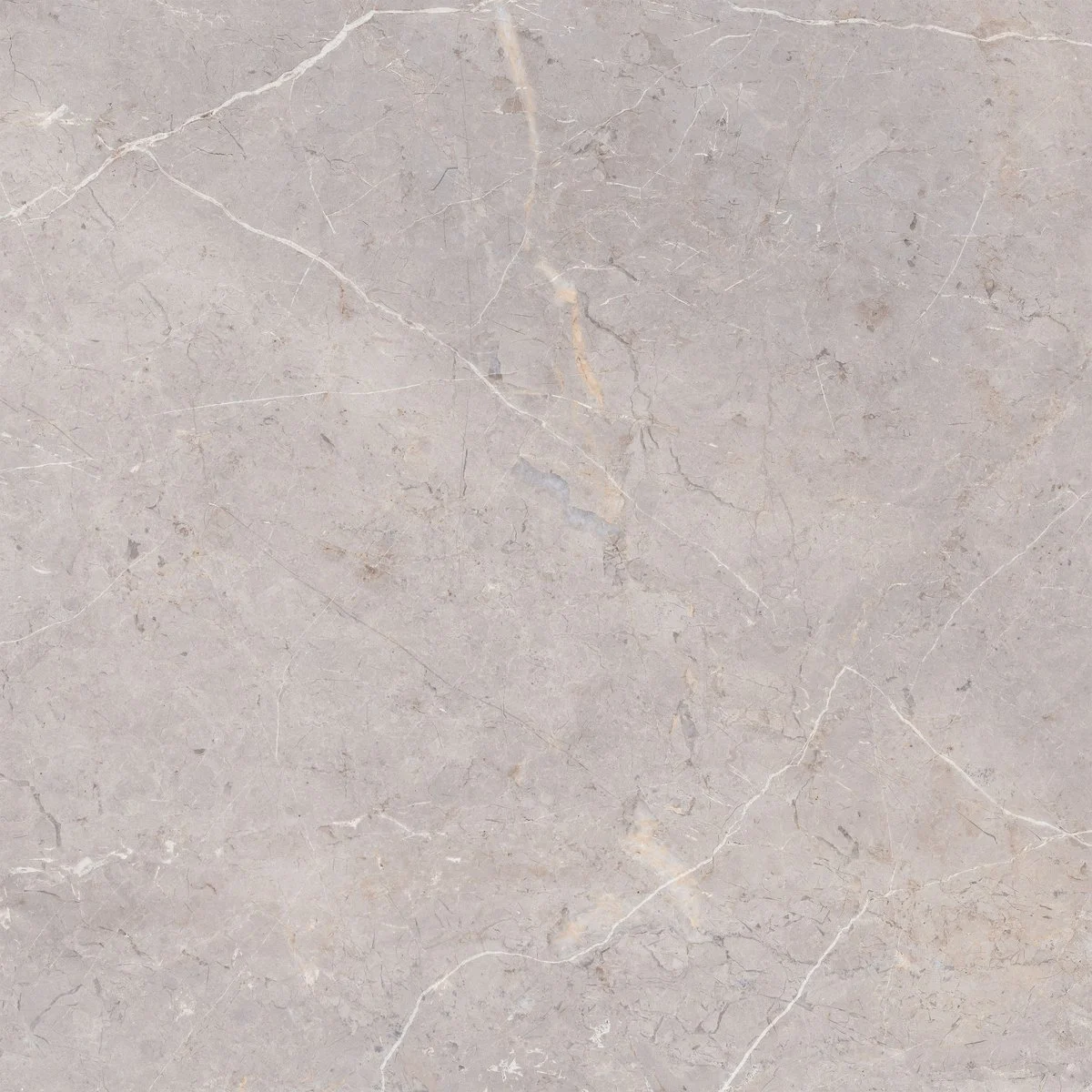 Porcelanato Fontana Grey 84x84 Acetinado | Unique
