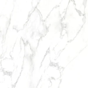 Porcelanato Balmes 63x63 Polido | Delta