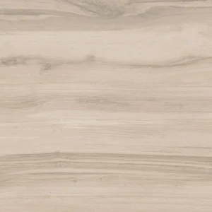 Porcelanato Caja 60x120 Acetinado | Delta