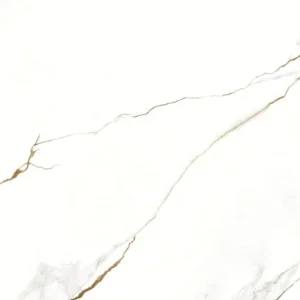 Porcelanato Vene Doro 60x120 Polido | Delta
