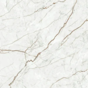Porcelanato Rosello 64x64 Polido | Belle Porcelanato