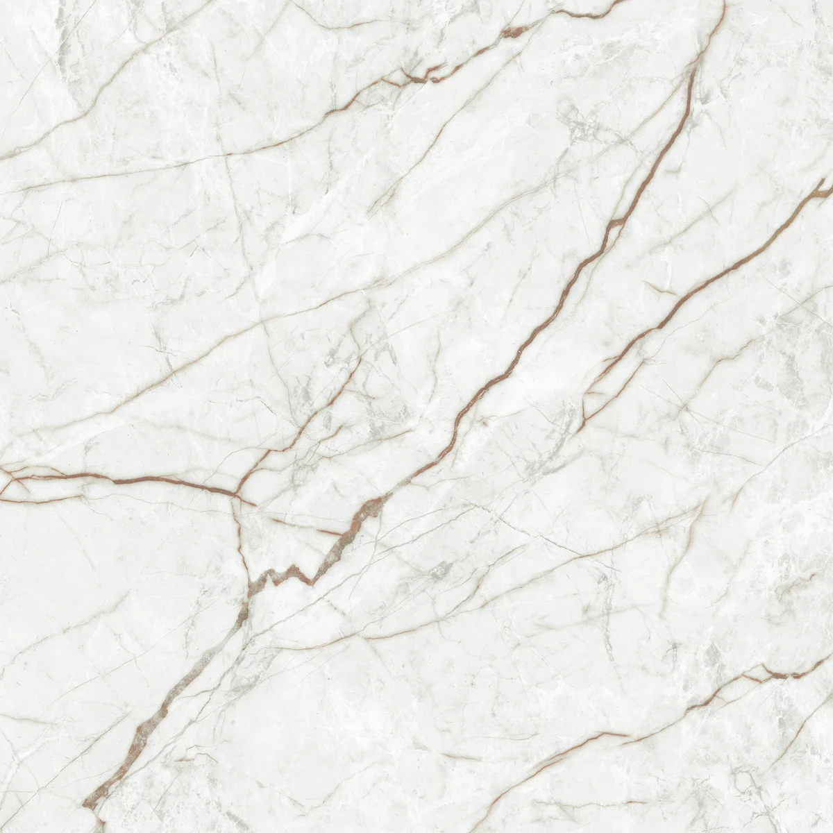 Porcelanato Rosello 82,5x82,5 Polido - Belle Porcelanato