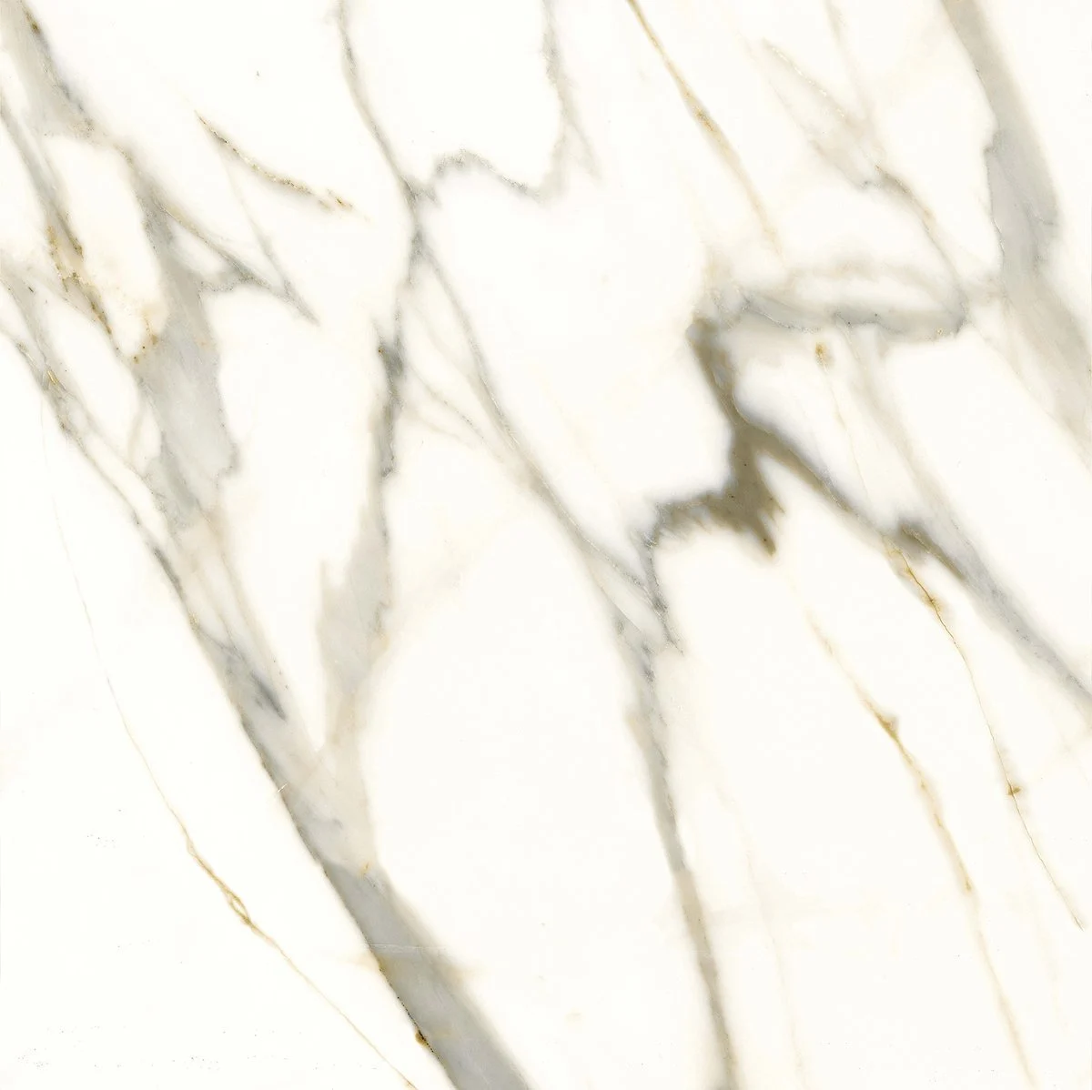 Porcelanato Abbadia 82,5x82,5 Polido | Belle Porcelanato