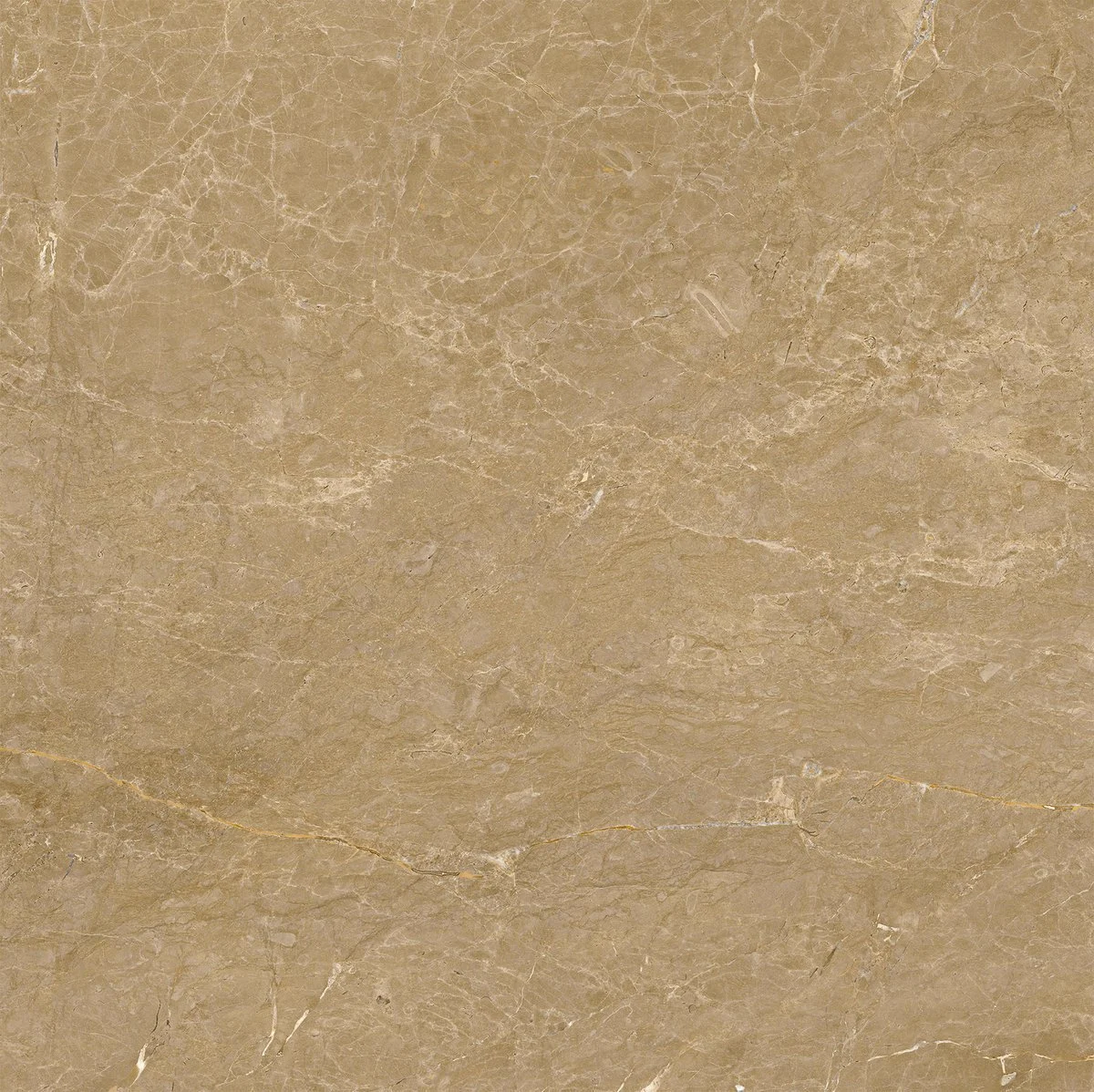 Porcelanato Capuccino 82,5x82,5 Polido | Belle Porcelanato